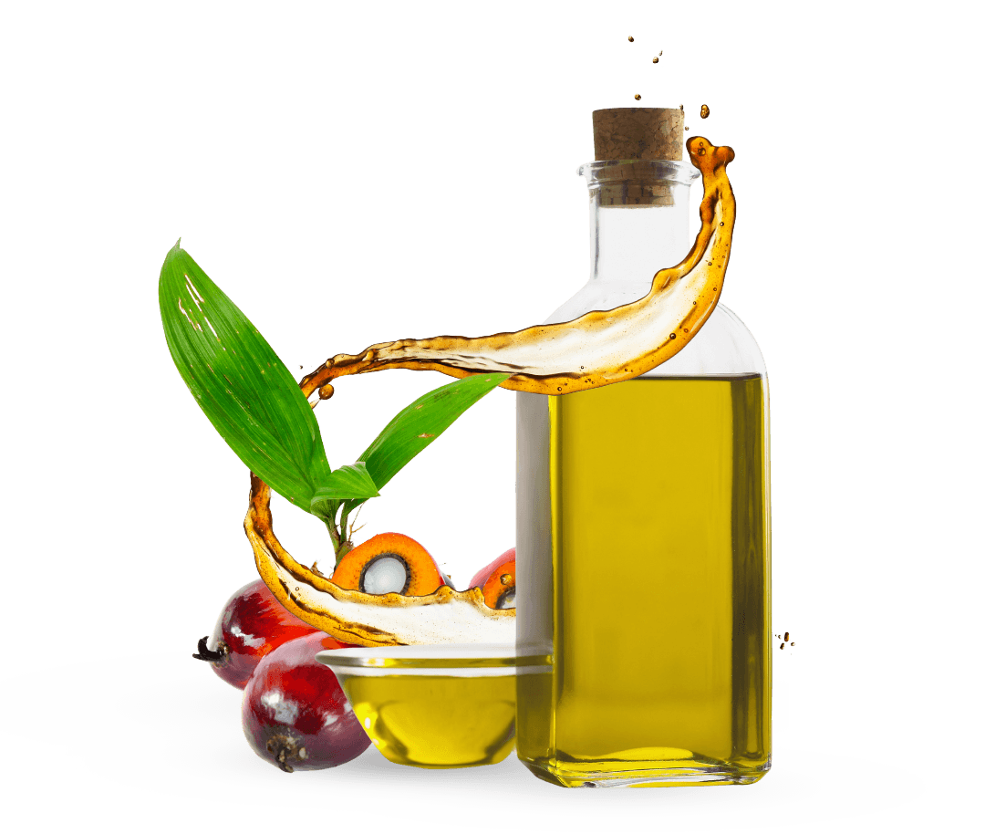 coconut oil bottle in leaf